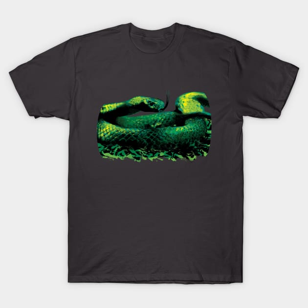 Painted Snake T-Shirt by polliadesign